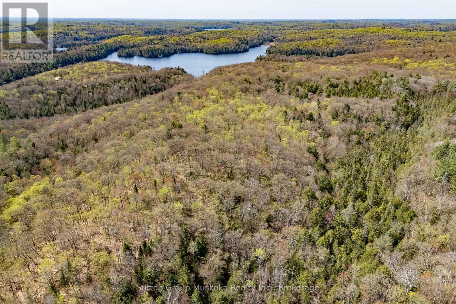 1667 Paint Lake Road, Lake Of Bays (Ridout), ON