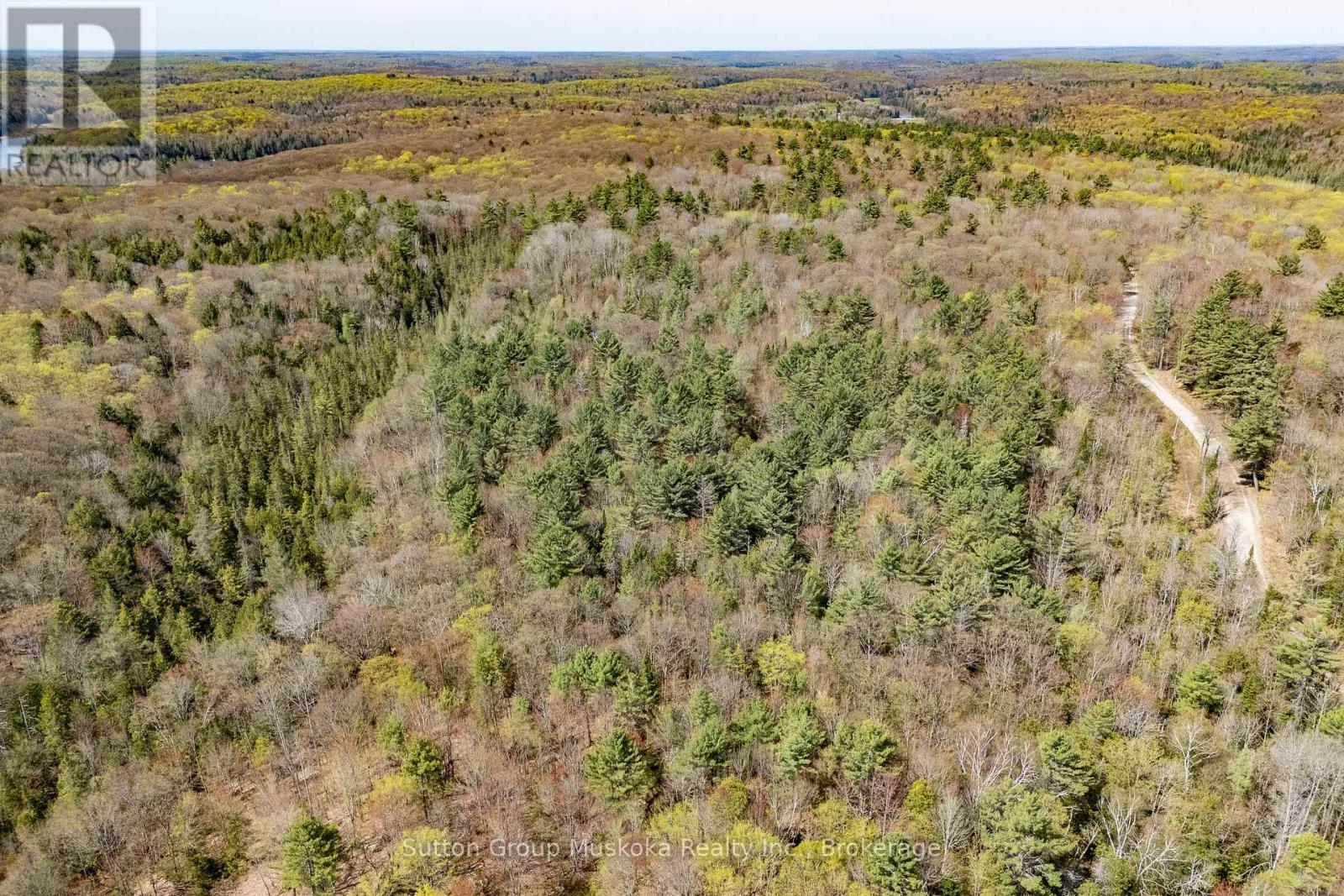 1667 Paint Lake Road, Lake Of Bays (Ridout), ON