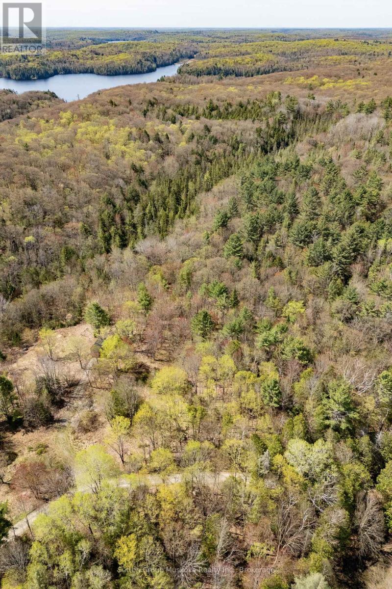 1667 Paint Lake Road, Lake Of Bays (Ridout), ON