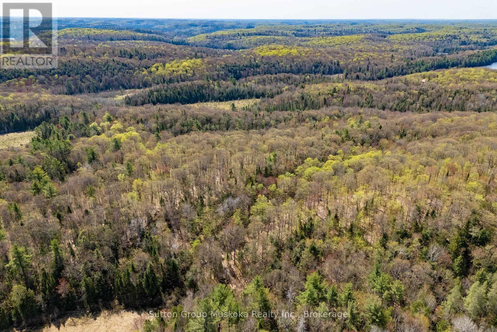 1667 Paint Lake Road, Lake Of Bays (Ridout), ON