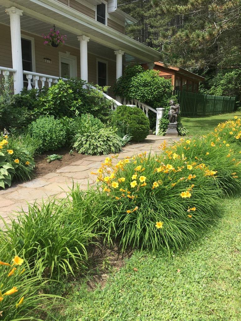 Land/Lot - 8829 Route 117 S., Rivière-Rouge, QC - Outdoor With Deck Patio Veranda