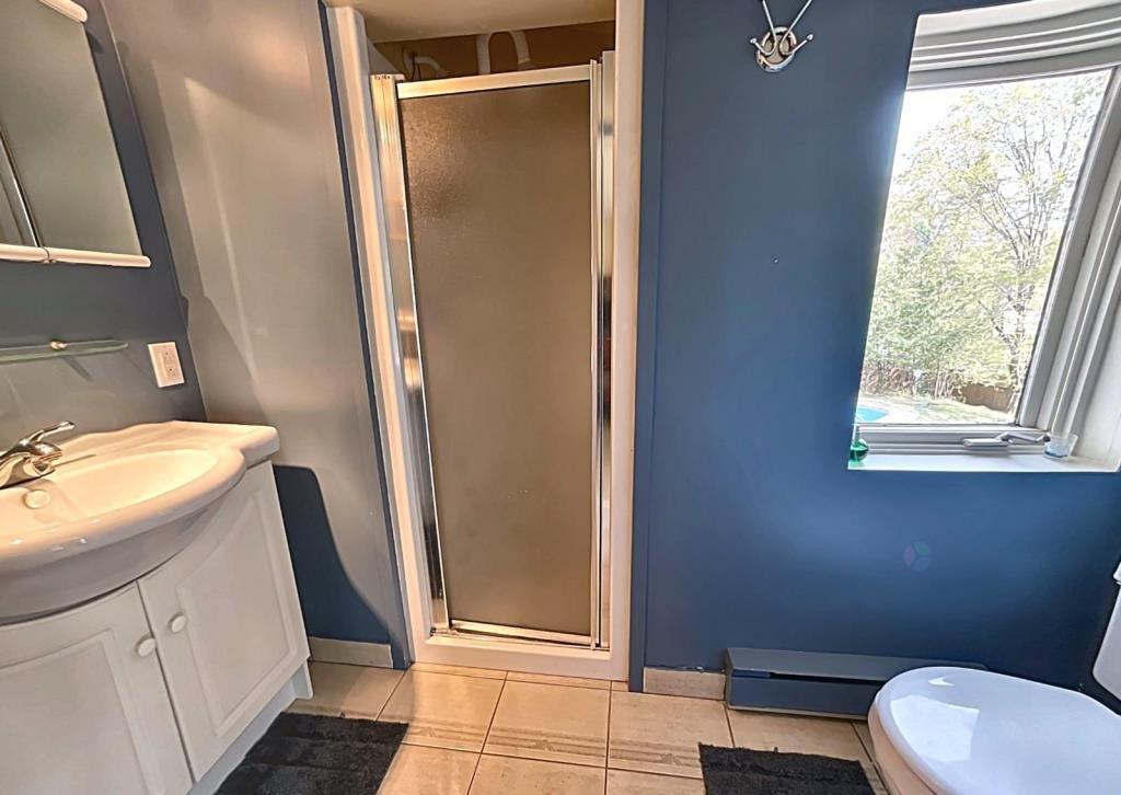 Bathroom - 450 Ch. Aubin, Saint-Sauveur, QC - Indoor Photo Showing Bathroom