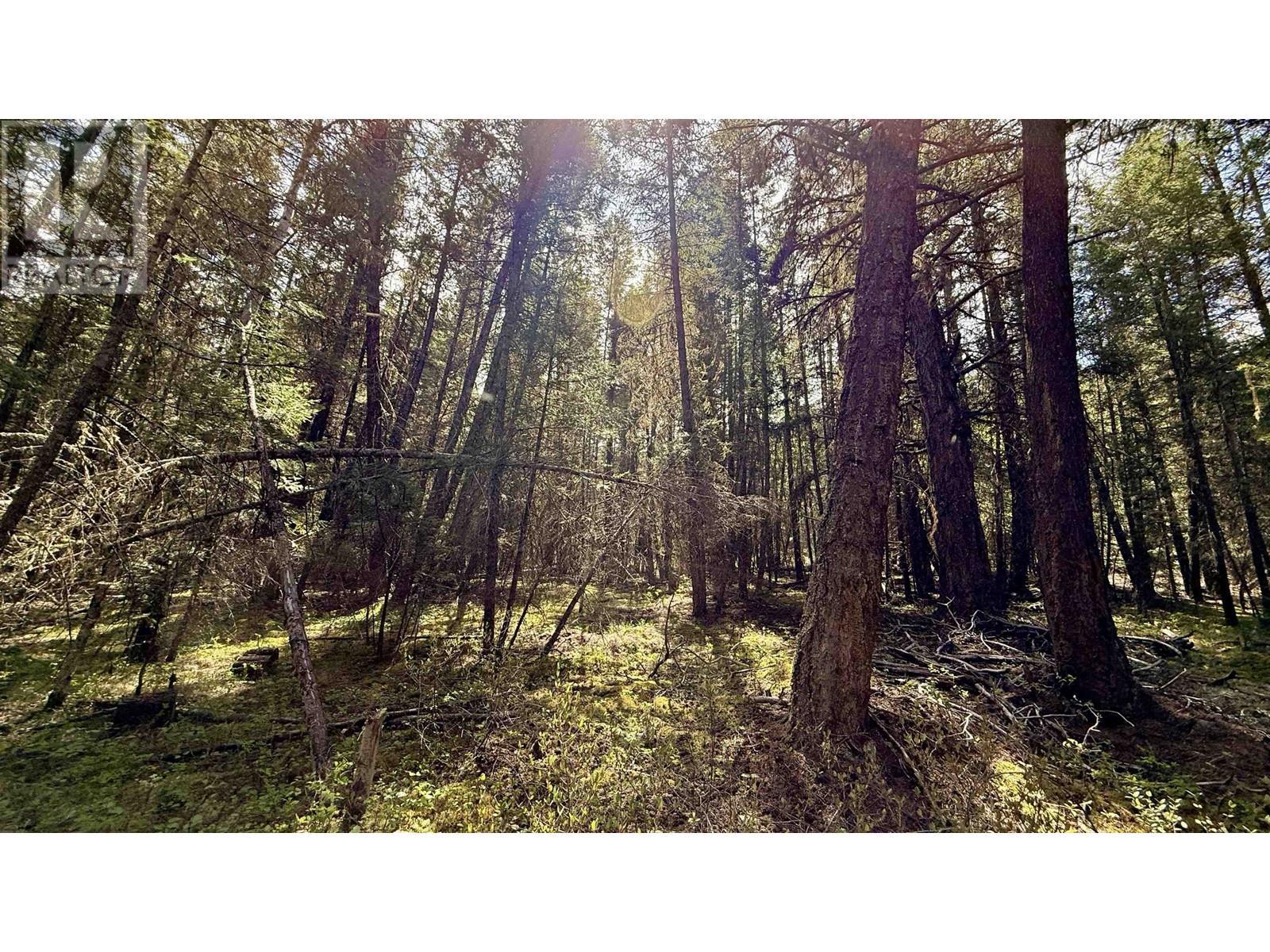 4460 Tatton-Helena Fs Road, Lac La Hache, BC - Outdoor With View