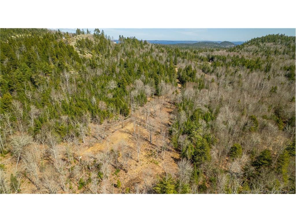 Lot 2021-01 And 02 Frye Rd, Chamcook, NB