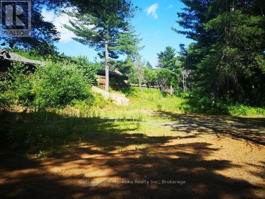 Backyard - 2832 Highway 60 Highway, Lake Of Bays (Franklin), ON