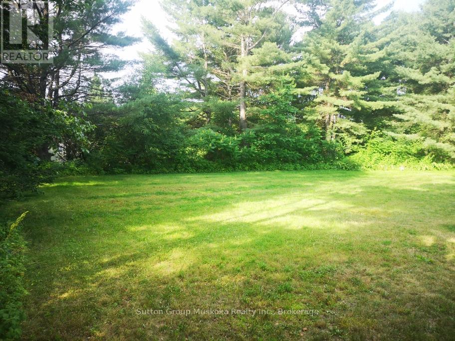 Backyard - 2832 Highway 60 Highway, Lake Of Bays (Franklin), ON