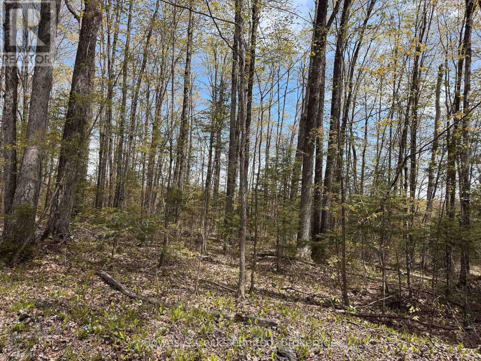 Beautiful Treed Lot - 24 Gilmour Lane, North Kawartha, ON