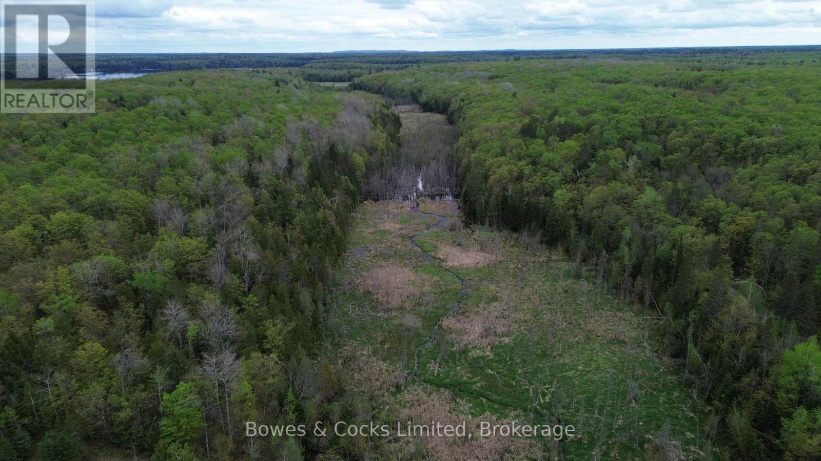 Southern portion of the lot - 24 Gilmour Lane, North Kawartha, ON