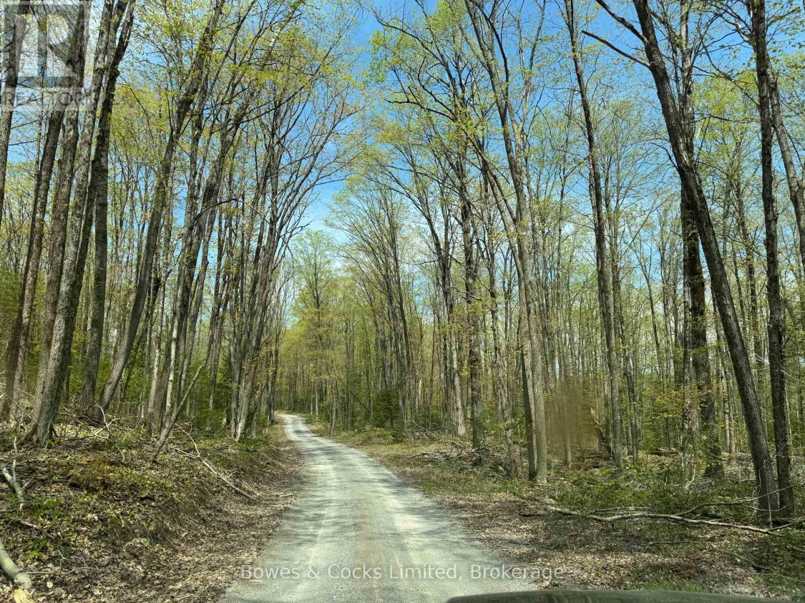 Southern end of the property on Gilmour Ln - 24 Gilmour Lane, North Kawartha, ON