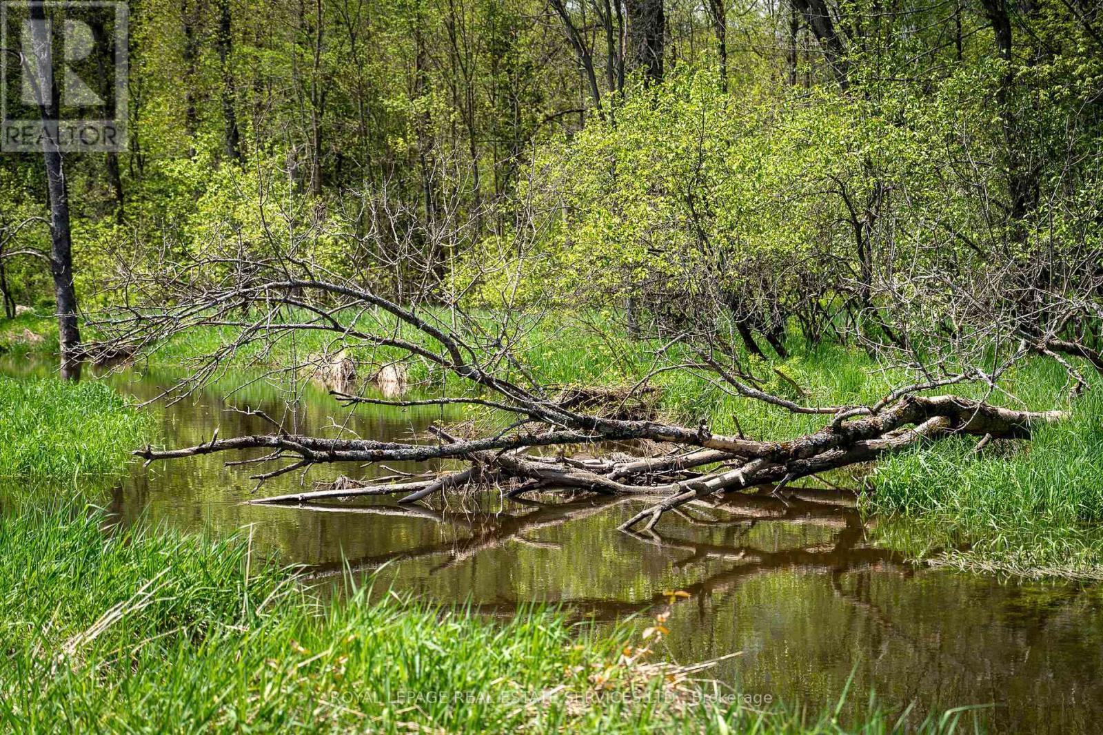 Pt Lot 13 Concession 7 Concession, Georgian Bluffs, ON