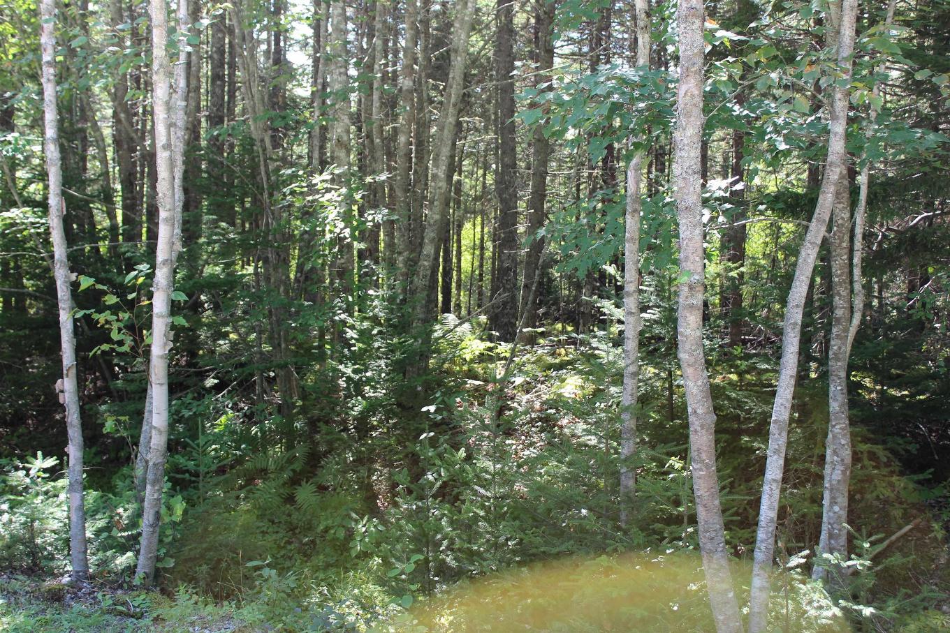 Lot 76 Otter Point Extension Extension, East Chester, NS