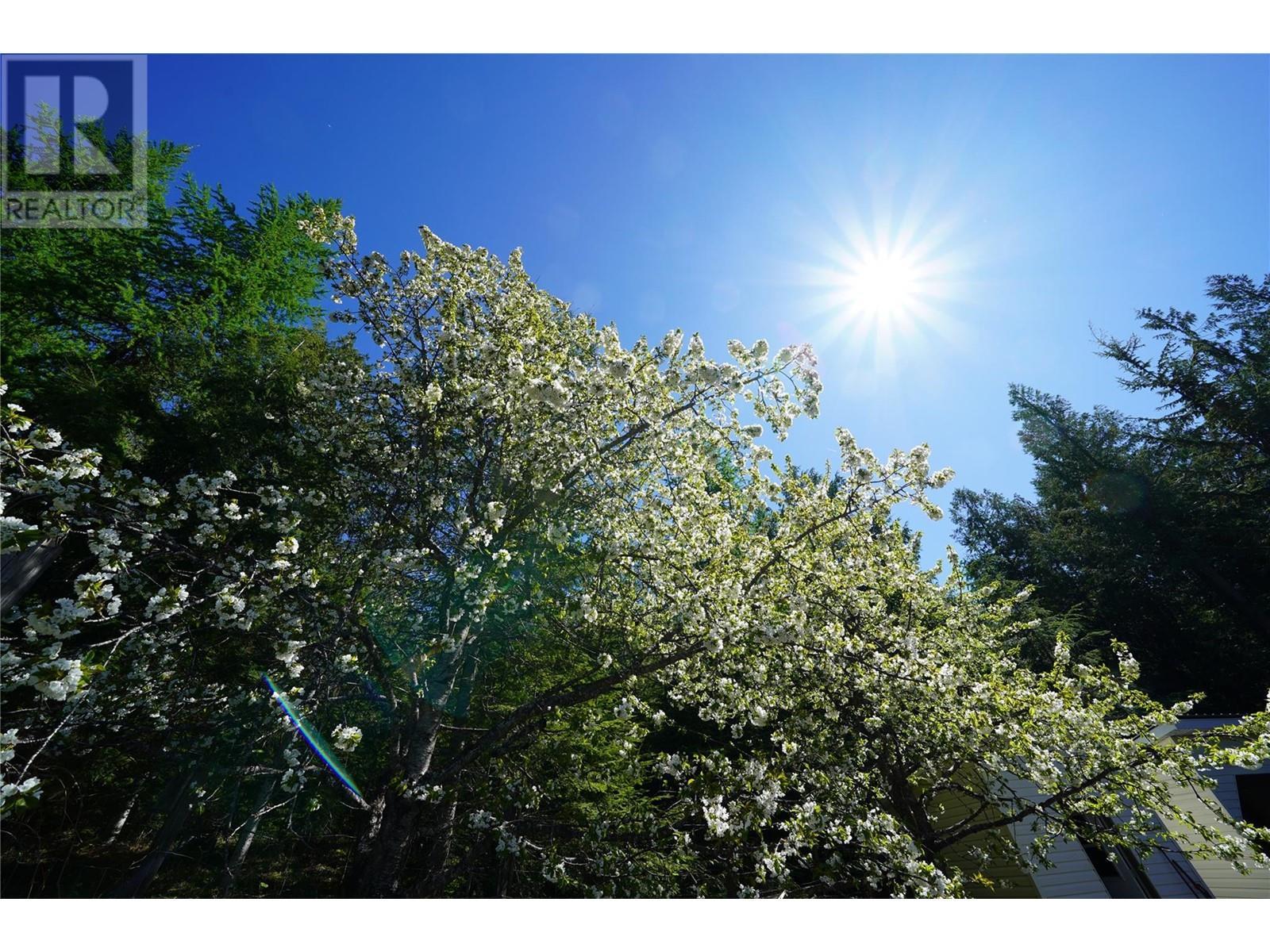 425 Alexander Road, Procter, BC - Outdoor