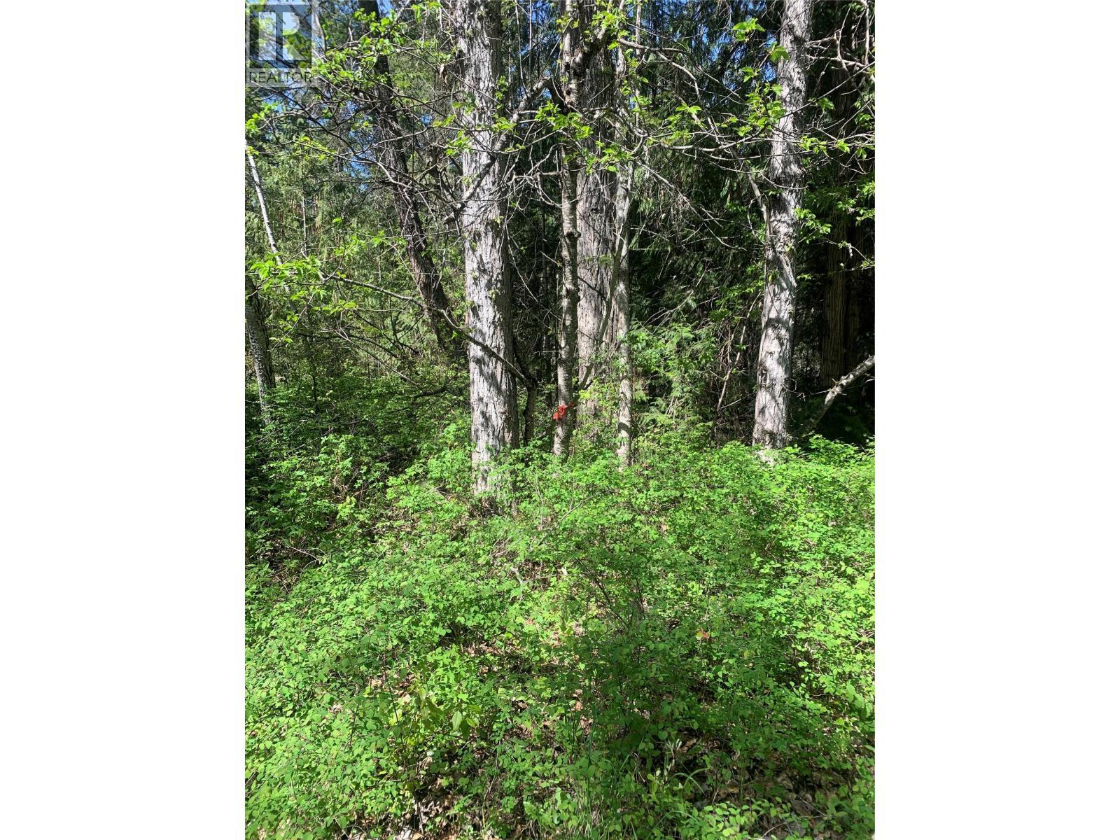Lot A Squilax-Anglemont Road, Lee Creek, BC