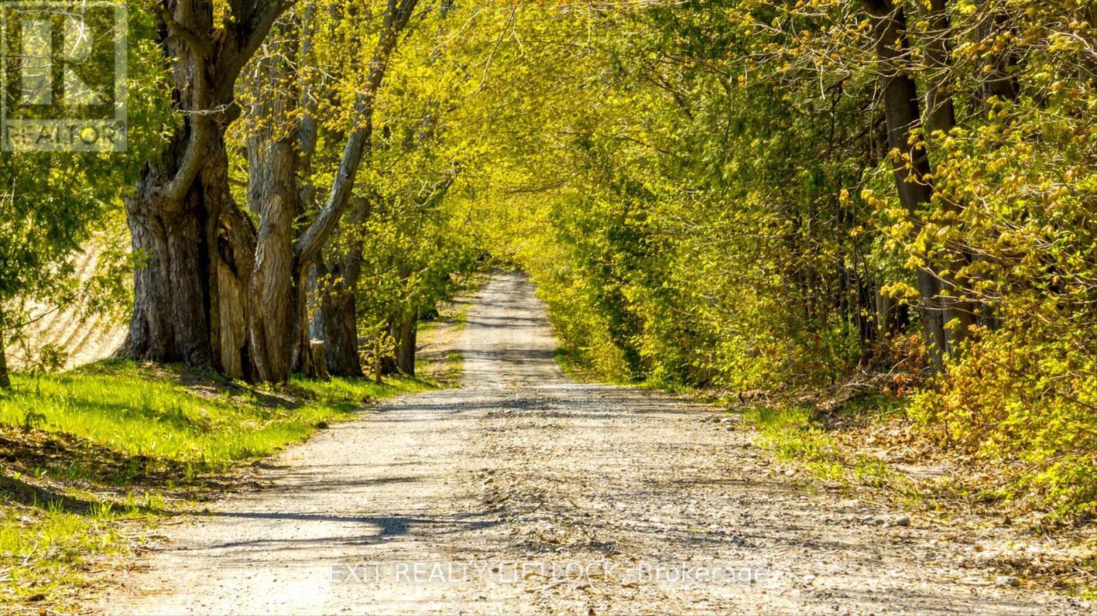 Driveway - 404 Morton Line, Cavan Monaghan (Cavan Twp), ON