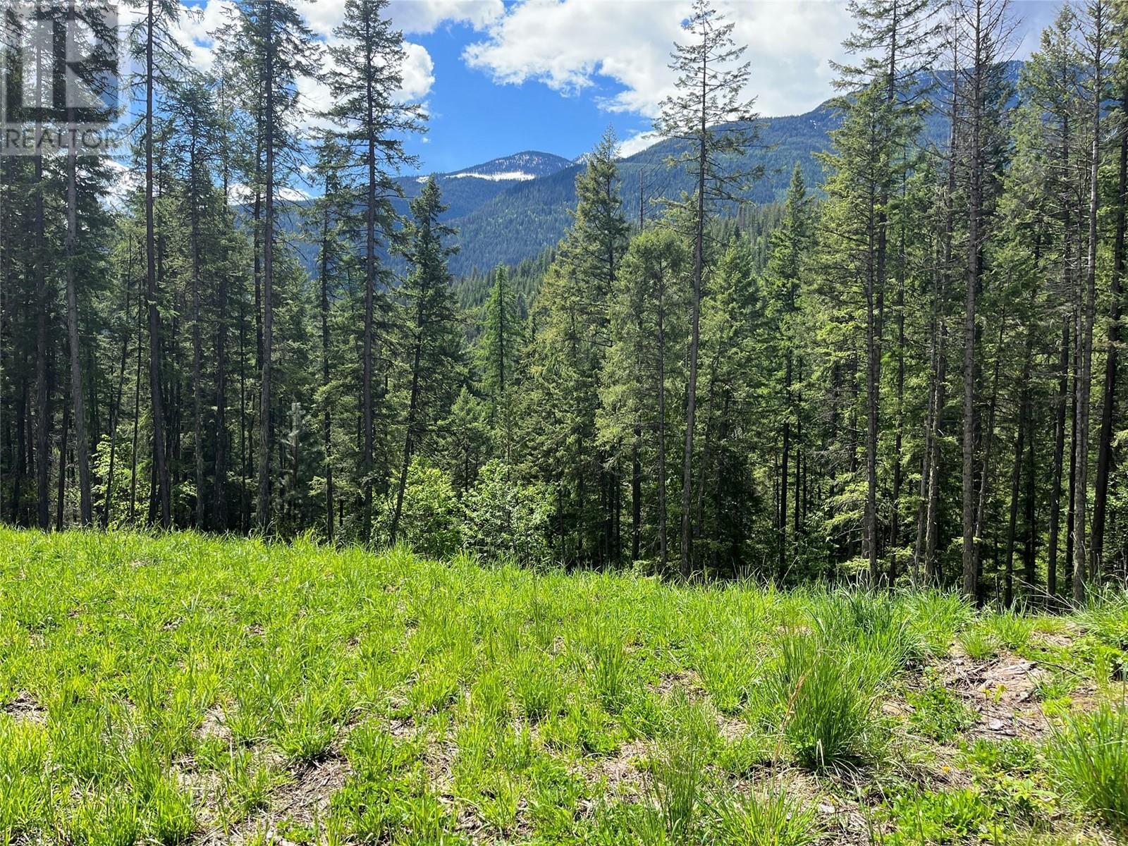 Lot 13 Pine Ridge Road, Kaslo, BC