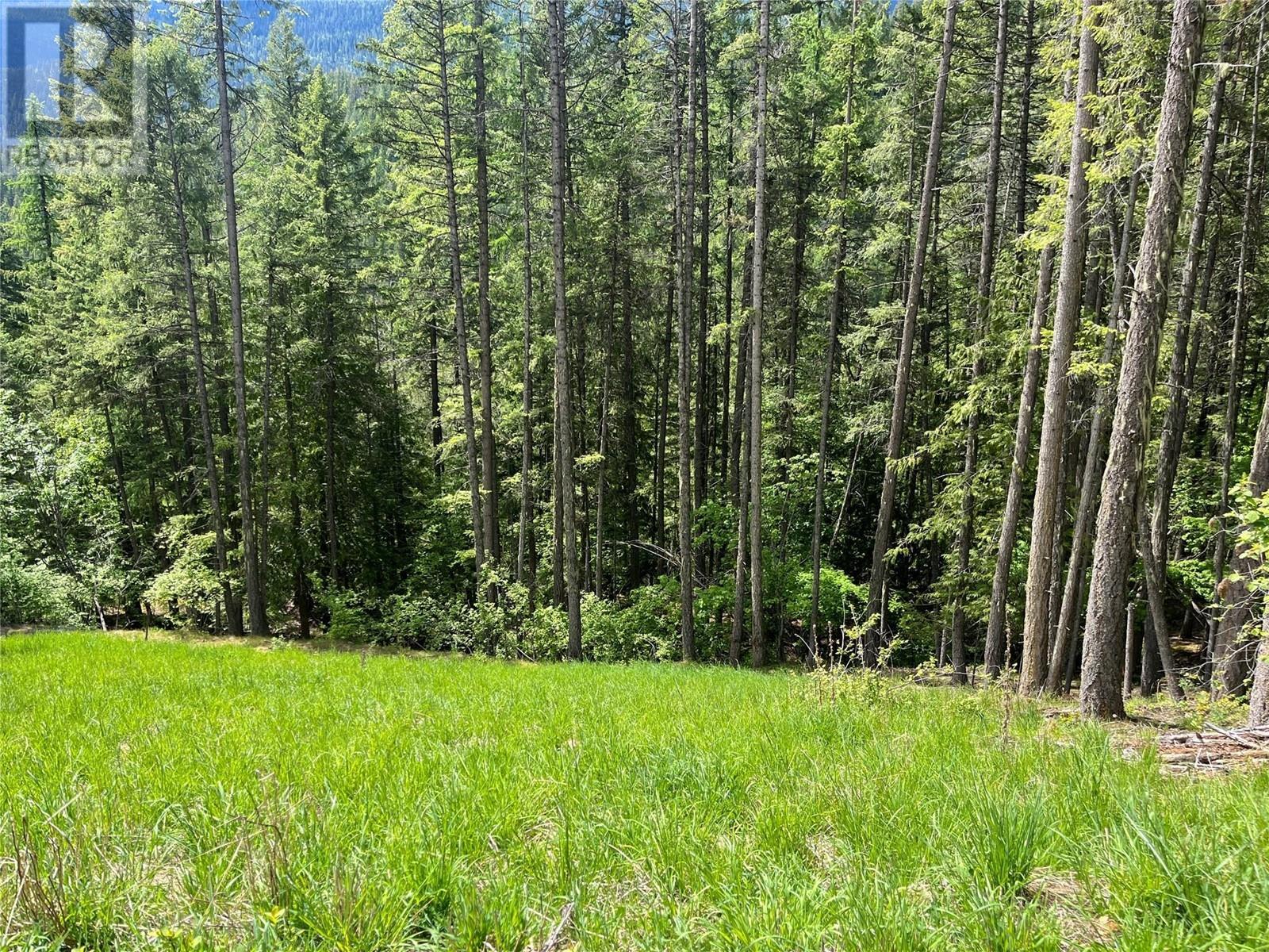 Lot 13 Pine Ridge Road, Kaslo, BC