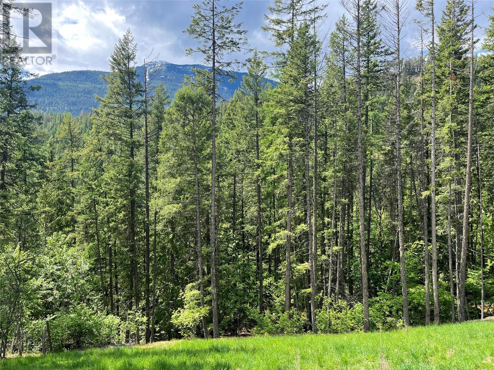 Lot 13 Pine Ridge Road, Kaslo, BC