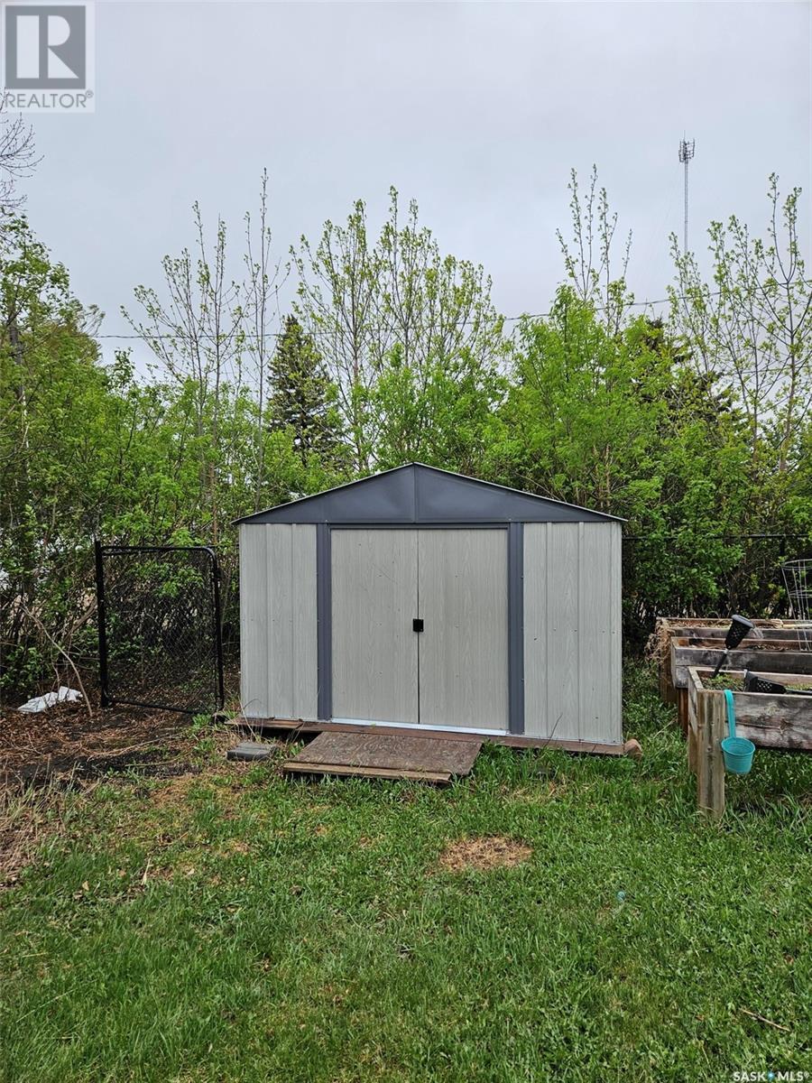 306 West 1St Street, Alida, SK - Outdoor With Backyard