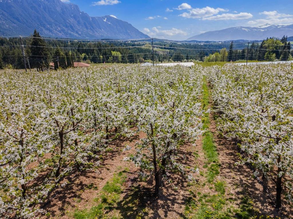 3851 3 Highway, Erickson, BC