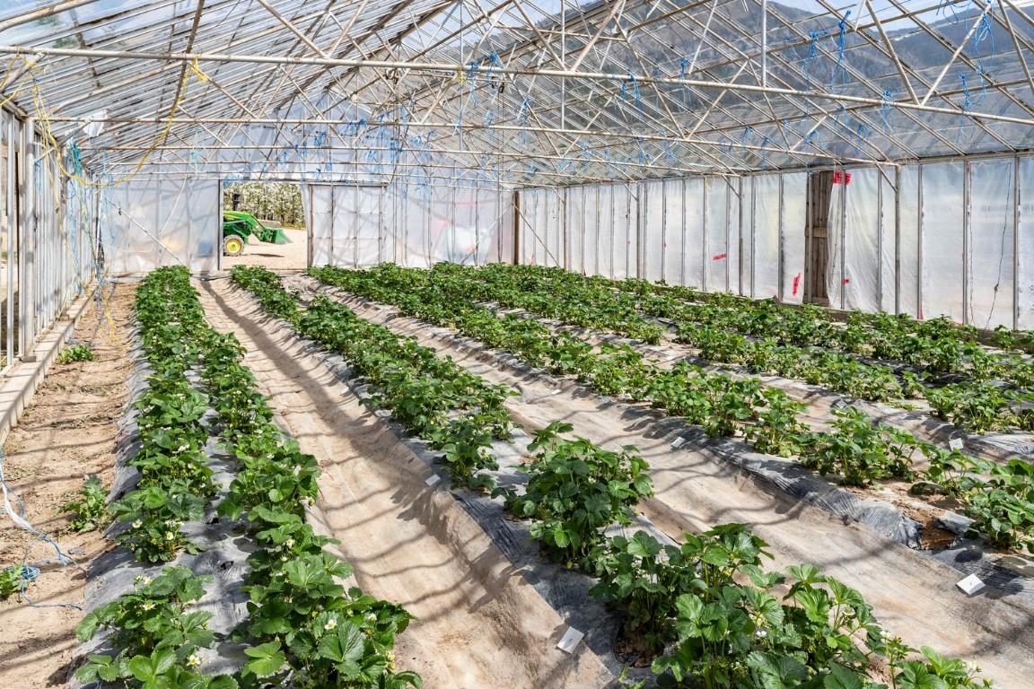 3851 3 Highway, Erickson, BC