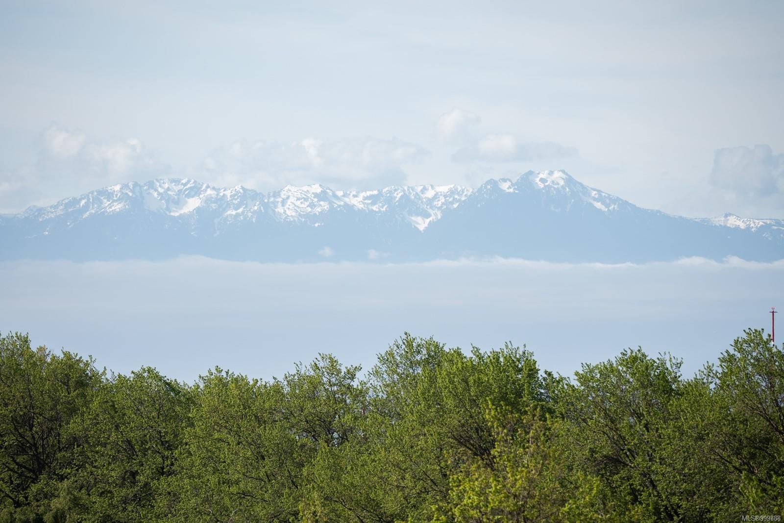 821-21 Dallas Rd, Victoria, BC - Outdoor With View