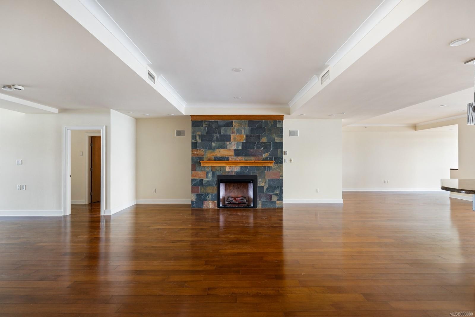 821-21 Dallas Rd, Victoria, BC - Indoor Photo Showing Living Room With Fireplace