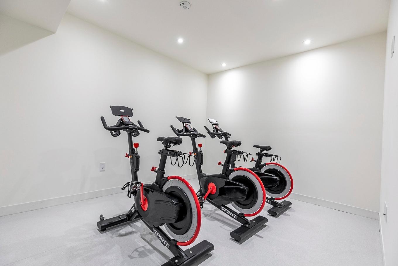 Exercise room - 602-360 Rue Mayor, Montréal (Ville-Marie), QC - Indoor Photo Showing Gym Room