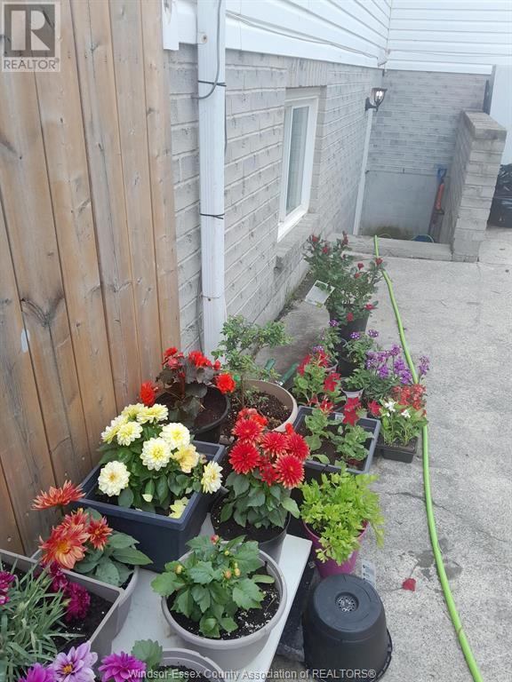 75 Sutton, Leamington, ON - Outdoor