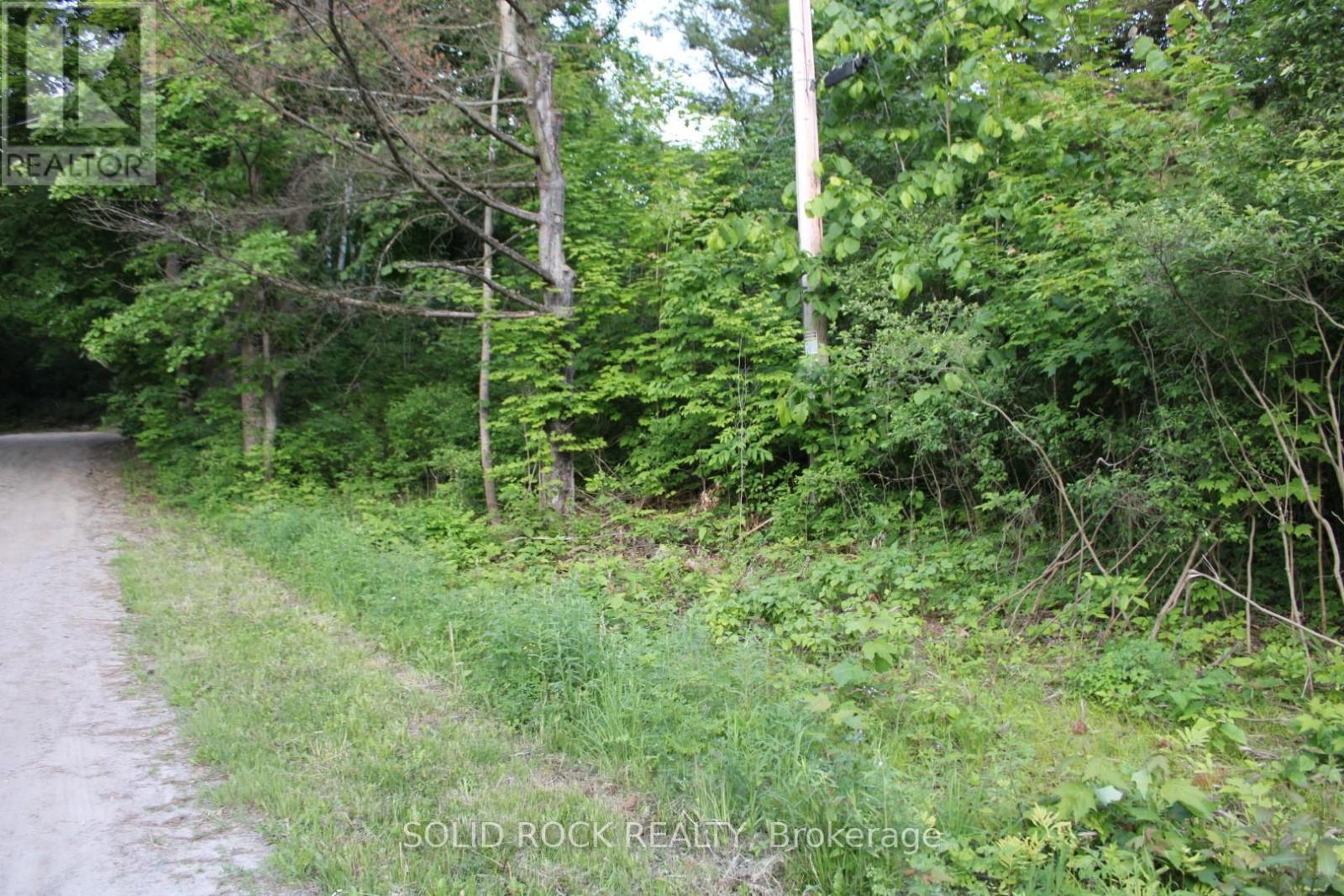 Curbside view of lot from edge of Webster Road - 133 Webster Road, Leeds And The Thousand Islands, ON