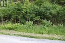 Another curbside view-keep scrolling to view... -