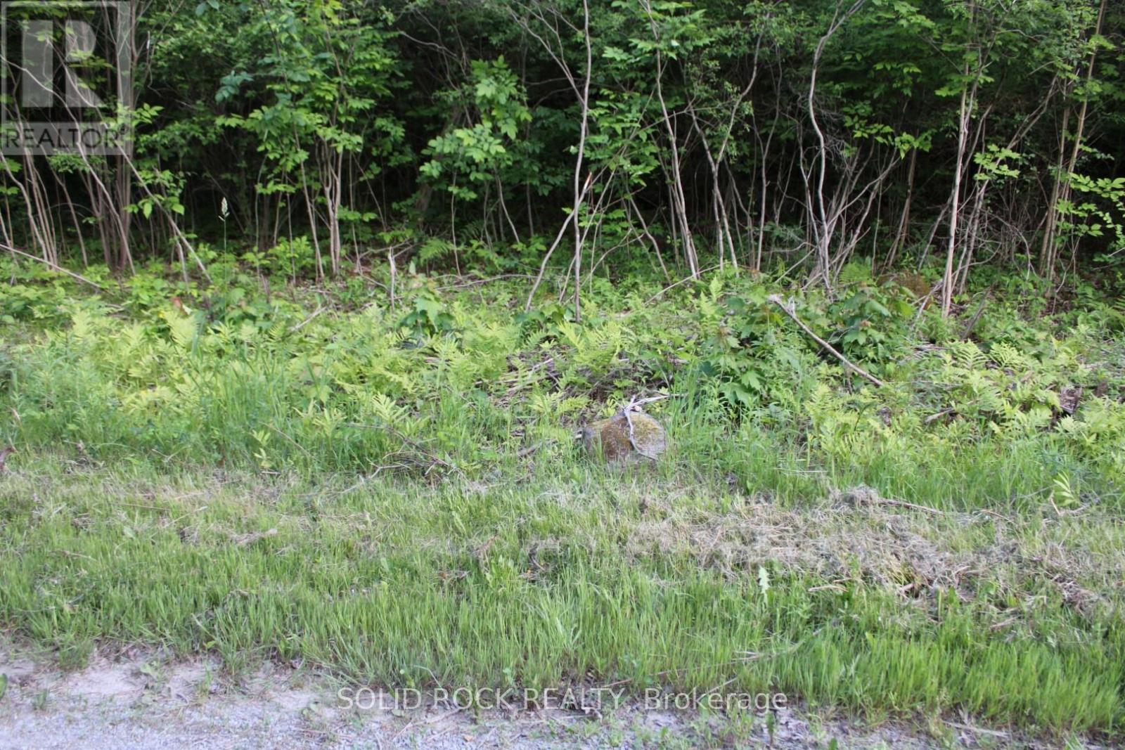 Front of lot, hill is behind trees.... - 133 Webster Road, Leeds And The Thousand Islands, ON