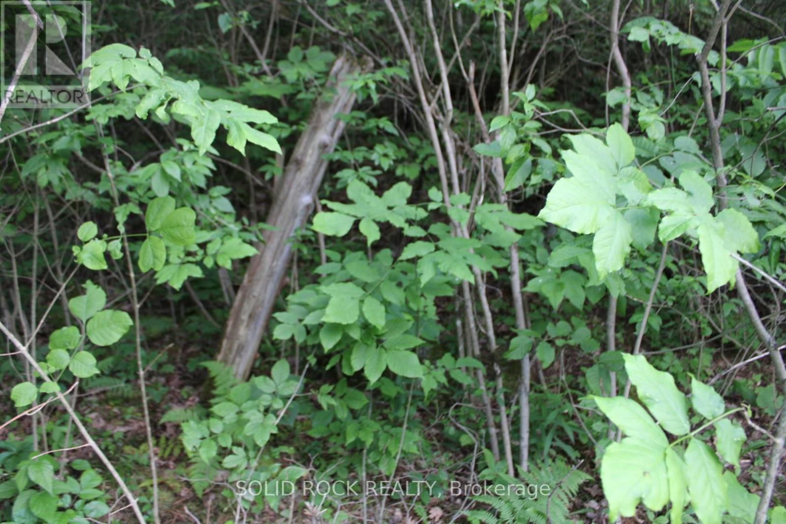 There is a perfect location to build curved access - 133 Webster Road, Leeds And The Thousand Islands, ON