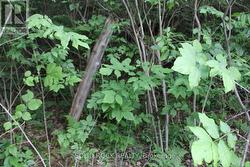 There is a perfect location to build curved access -