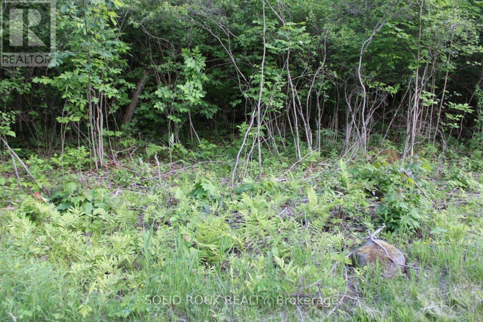 ..road just to left of For Sale sign-check it out - 133 Webster Road, Leeds And The Thousand Islands, ON