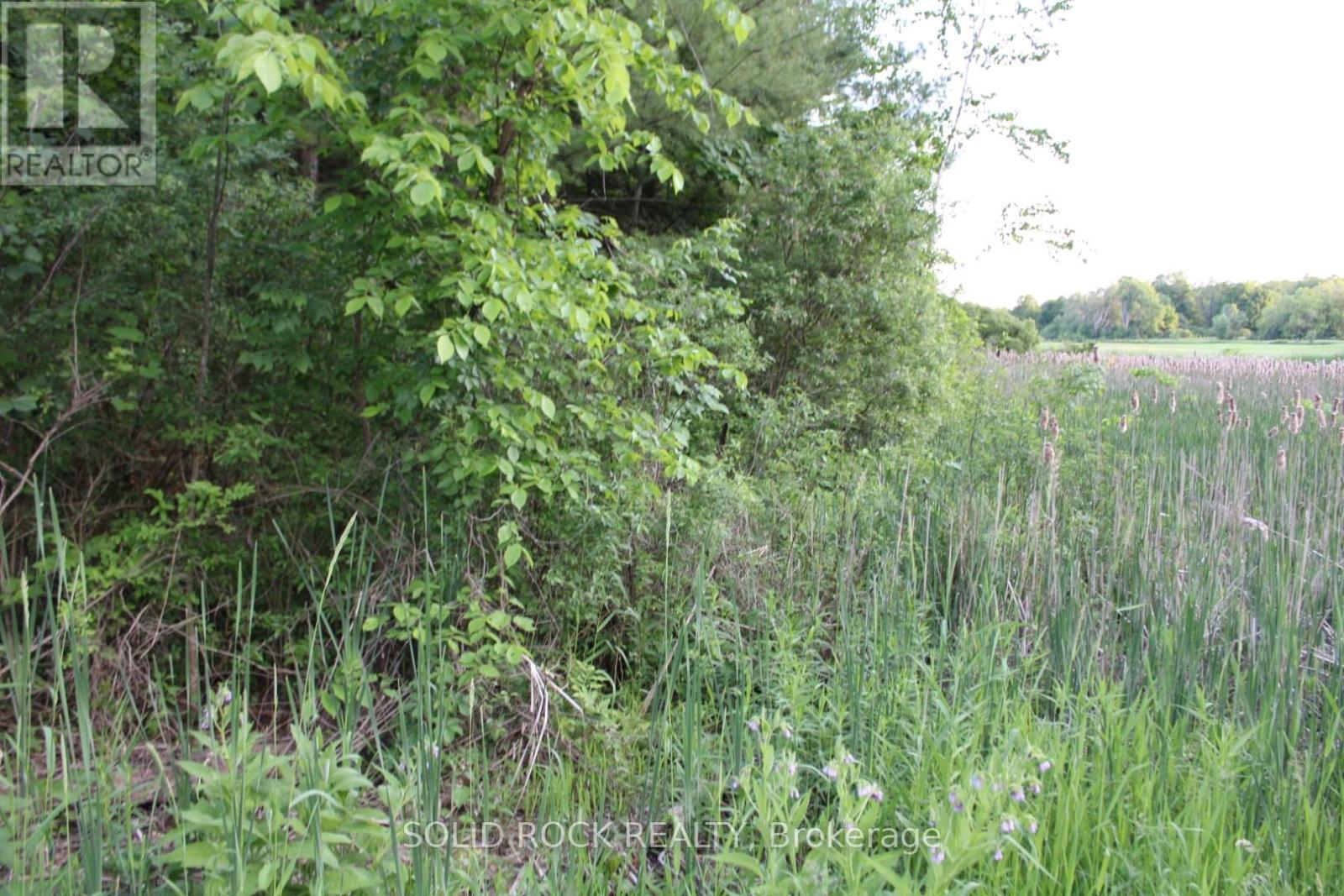 Small area of wetlands deemed insignificant by... - 133 Webster Road, Leeds And The Thousand Islands, ON