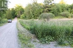 ...a very small portion of this lovely blding lot -