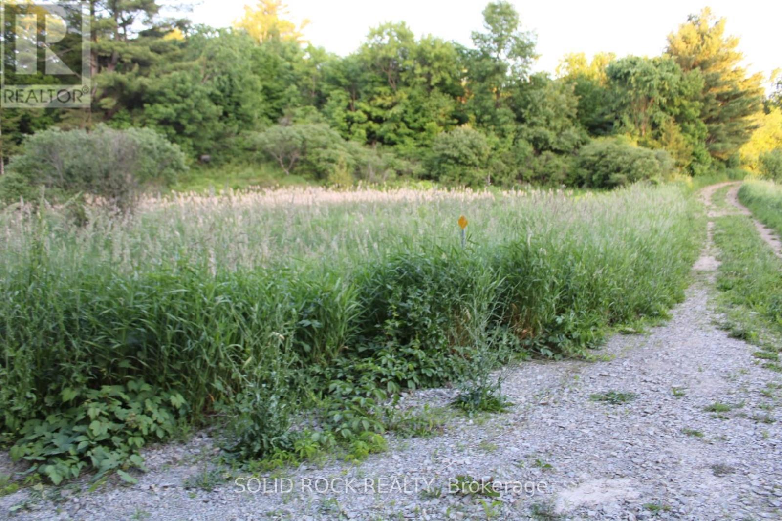Small area of wetlands near road dry in summer - 133 Webster Road, Leeds And The Thousand Islands, ON