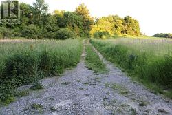 Looking south on neighbour's lane to his acreage. -