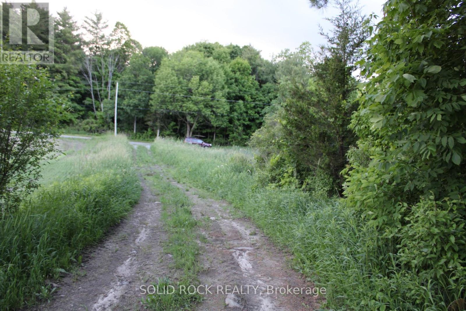 his lane for temp access-Looking north down lane. - 133 Webster Road, Leeds And The Thousand Islands, ON