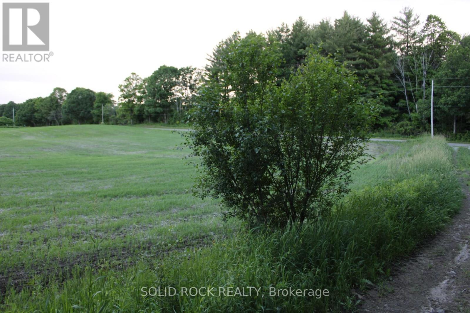 Farmer's fields to northwest of lot - 133 Webster Road, Leeds And The Thousand Islands, ON