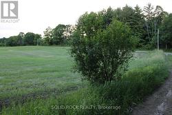 Farmer's fields to northwest of lot -