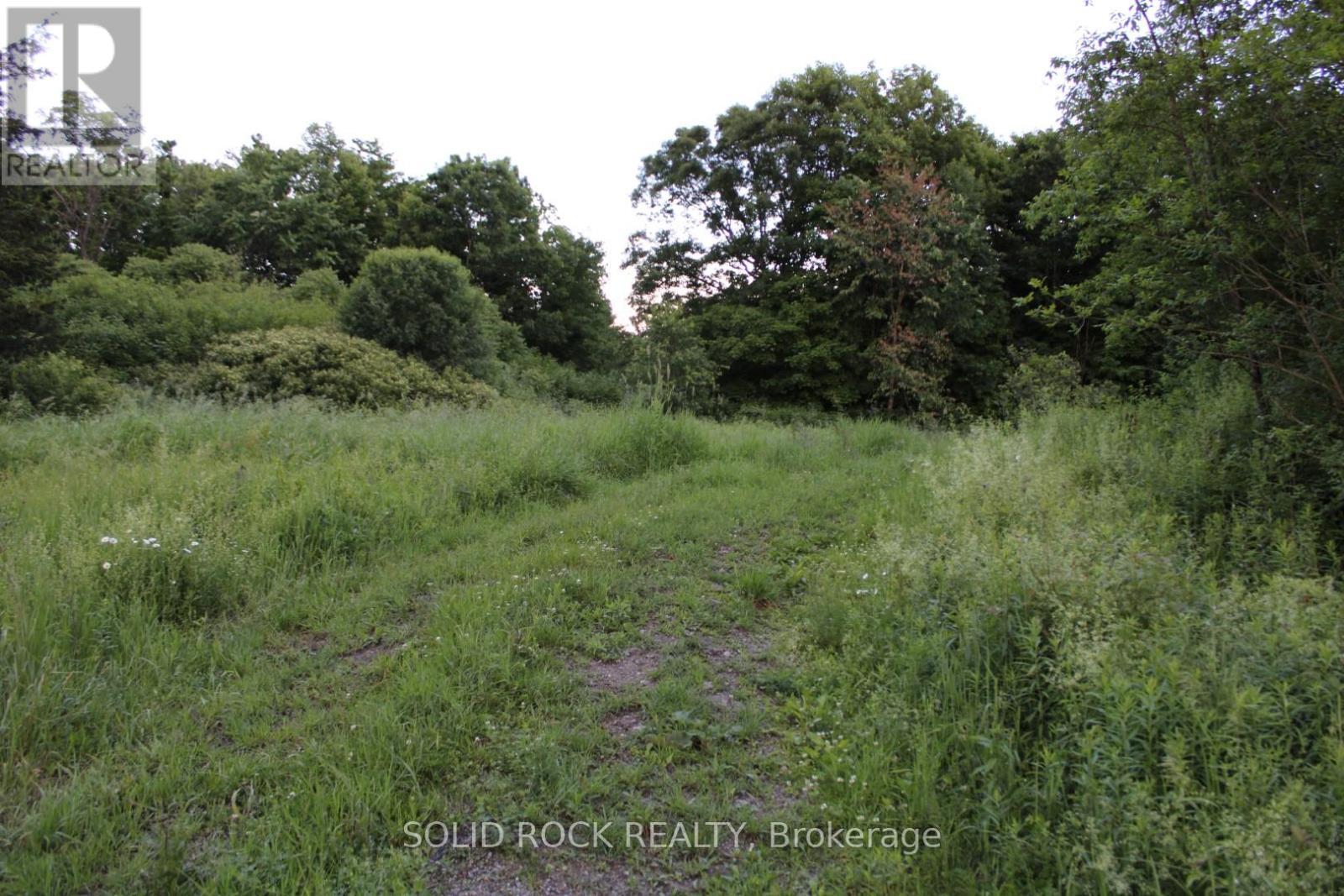 Closer to top, facing south-same place as next one - 133 Webster Road, Leeds And The Thousand Islands, ON