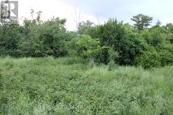 Building area, btw...only 5 neighbours on street -