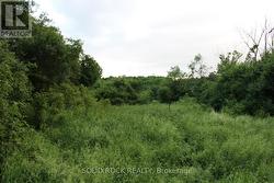 Looking west down top of temp access road -