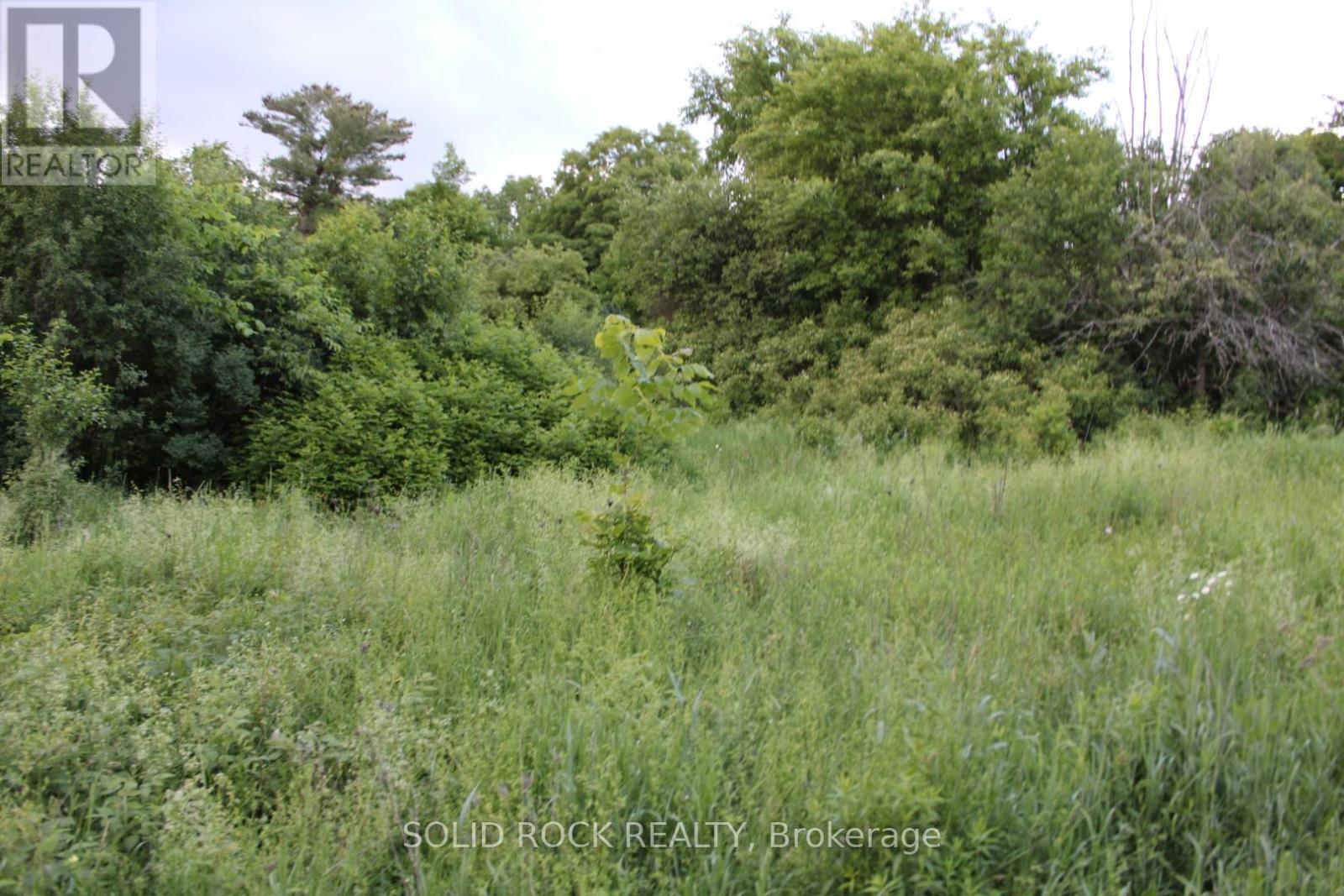 Building area...closest neighbour is to south.. - 133 Webster Road, Leeds And The Thousand Islands, ON