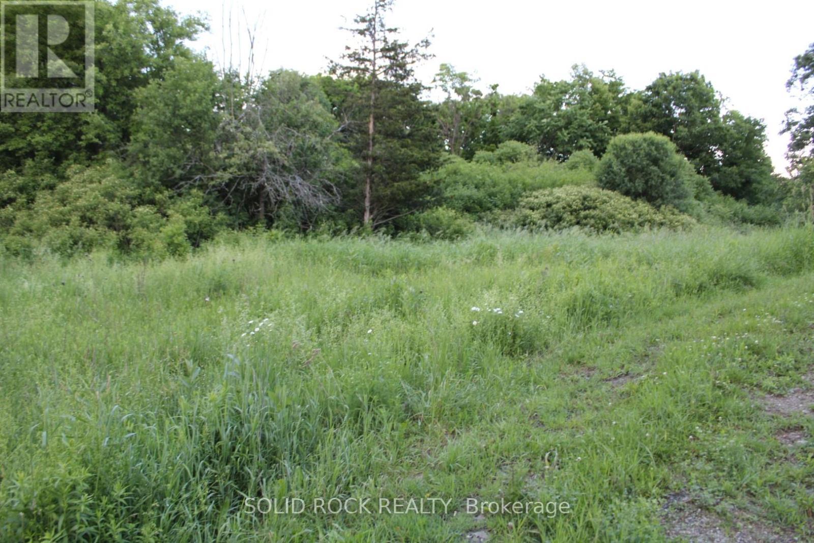 Bldg area-totally private with trees around edge - 133 Webster Road, Leeds And The Thousand Islands, ON