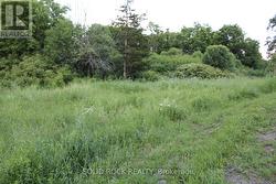 Bldg area-totally private with trees around edge -