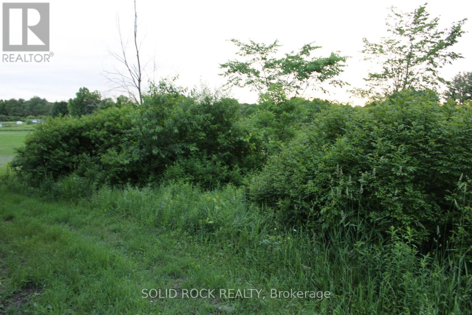 Close up of foliage in same area - 133 Webster Road, Leeds And The Thousand Islands, ON