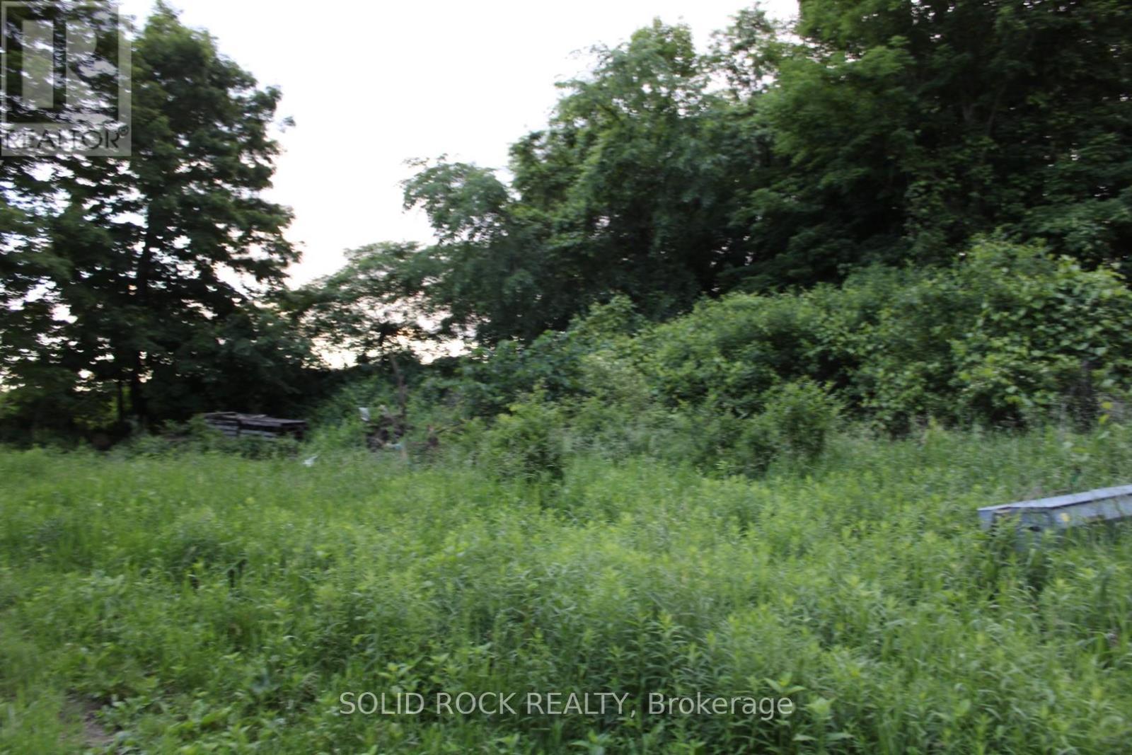 Building area looking north-thin tree line - 133 Webster Road, Leeds And The Thousand Islands, ON