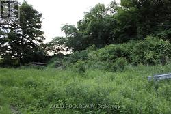 Building area looking north-thin tree line -